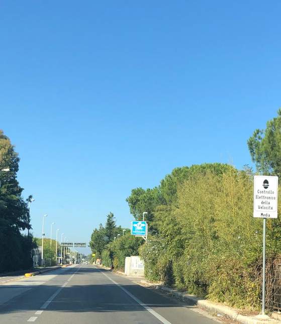 velocità media Giovinazzo 50 kmh