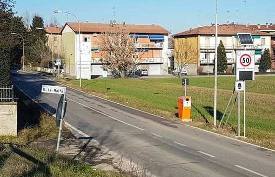 Valsamoggia velox