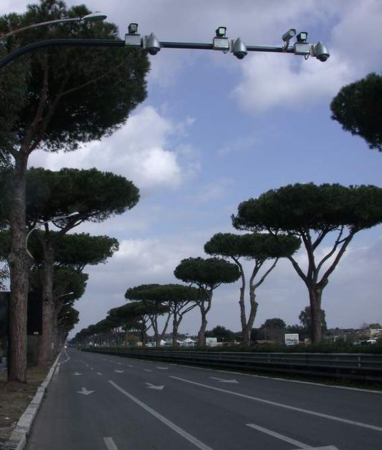 Roma
