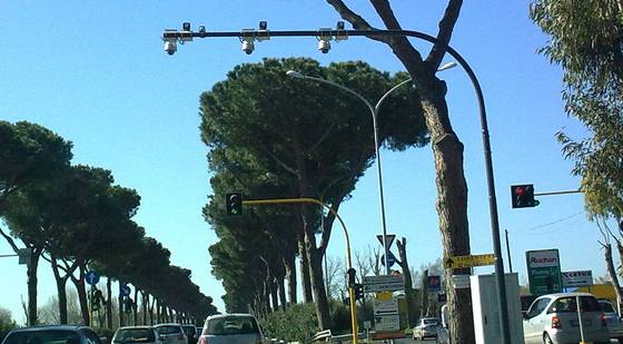 Roma